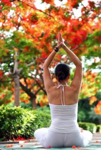 Practice for Fall or Vata Season | Blog | Uptown Yoga